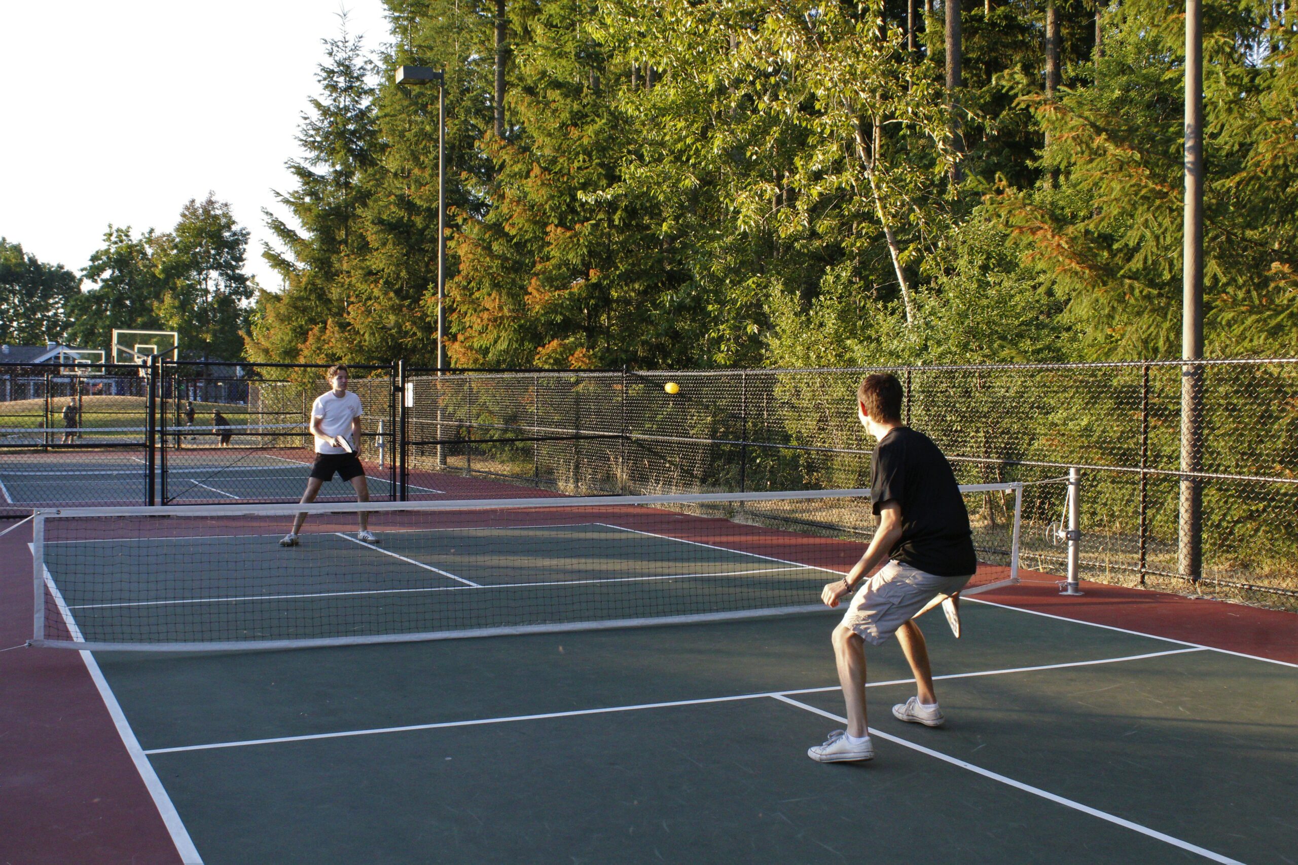 pickleball-body-shot